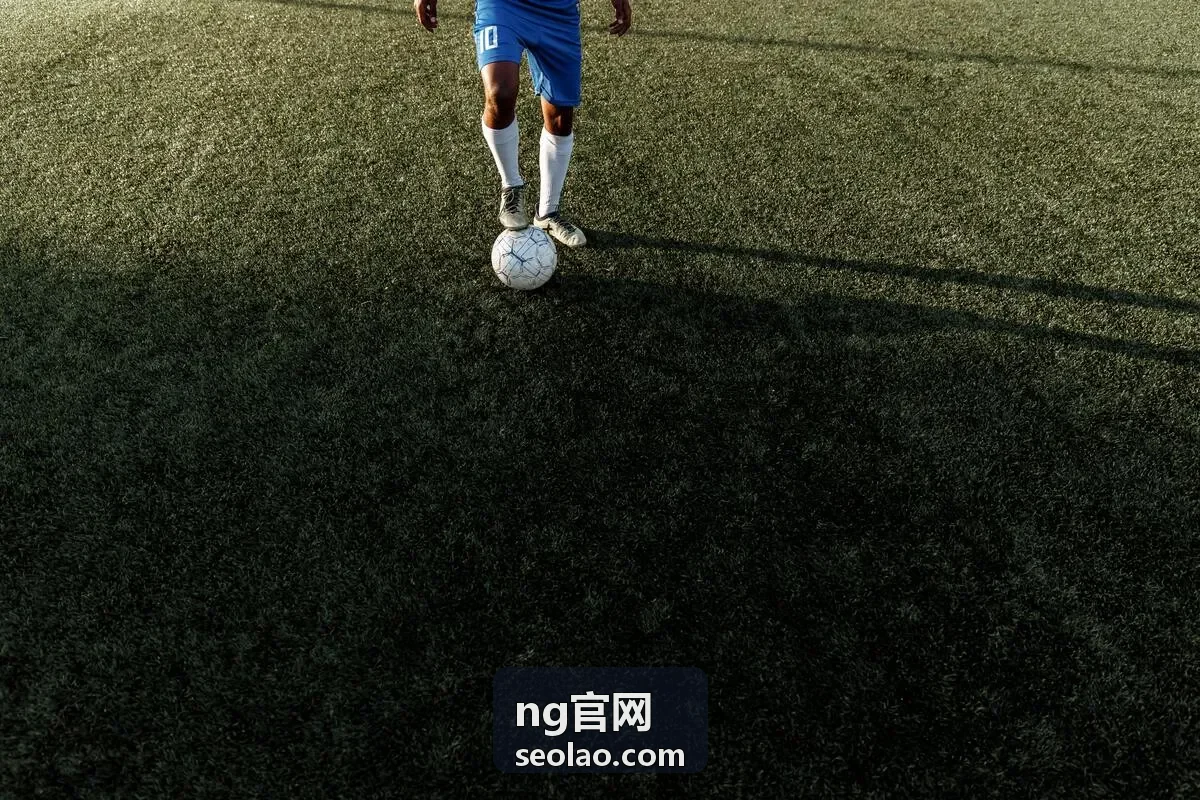 ng官网企业管理平台的工作台界面示意